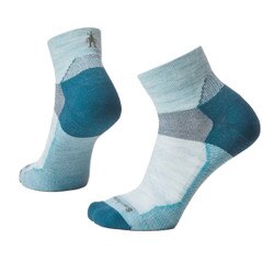 Smartwool Bike Zero Cushion Ankle Sock Women's in Frosty Green